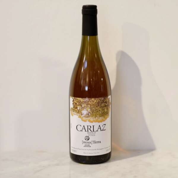 'Carlaz' 2016 Prima Terra